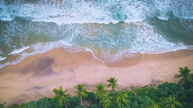An aerial view of a beach with waves, palm trees, and dense vegetation. - Sole Luna Resort & Spa (Tangalle)