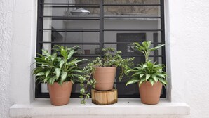 Three potted plants on a ledge in front of a window with a black frame. - GARAL House: Rayón 77 (Morelia)