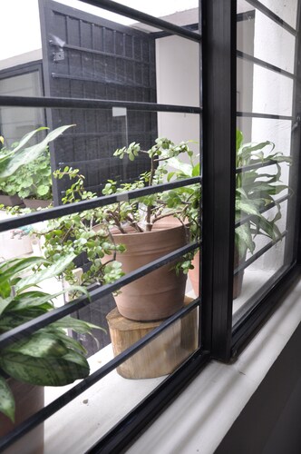 GARAL House: Rayón 77