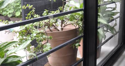 GARAL House: Rayón 77