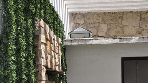 A stone wall partially covered with ivy, a small fountain, and a neatly trimmed lawn. - GARAL House: Rayón 77 (Morelia)