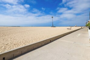 A wide sandy beach with a clear sky, a palm tree, and a concrete walkway.