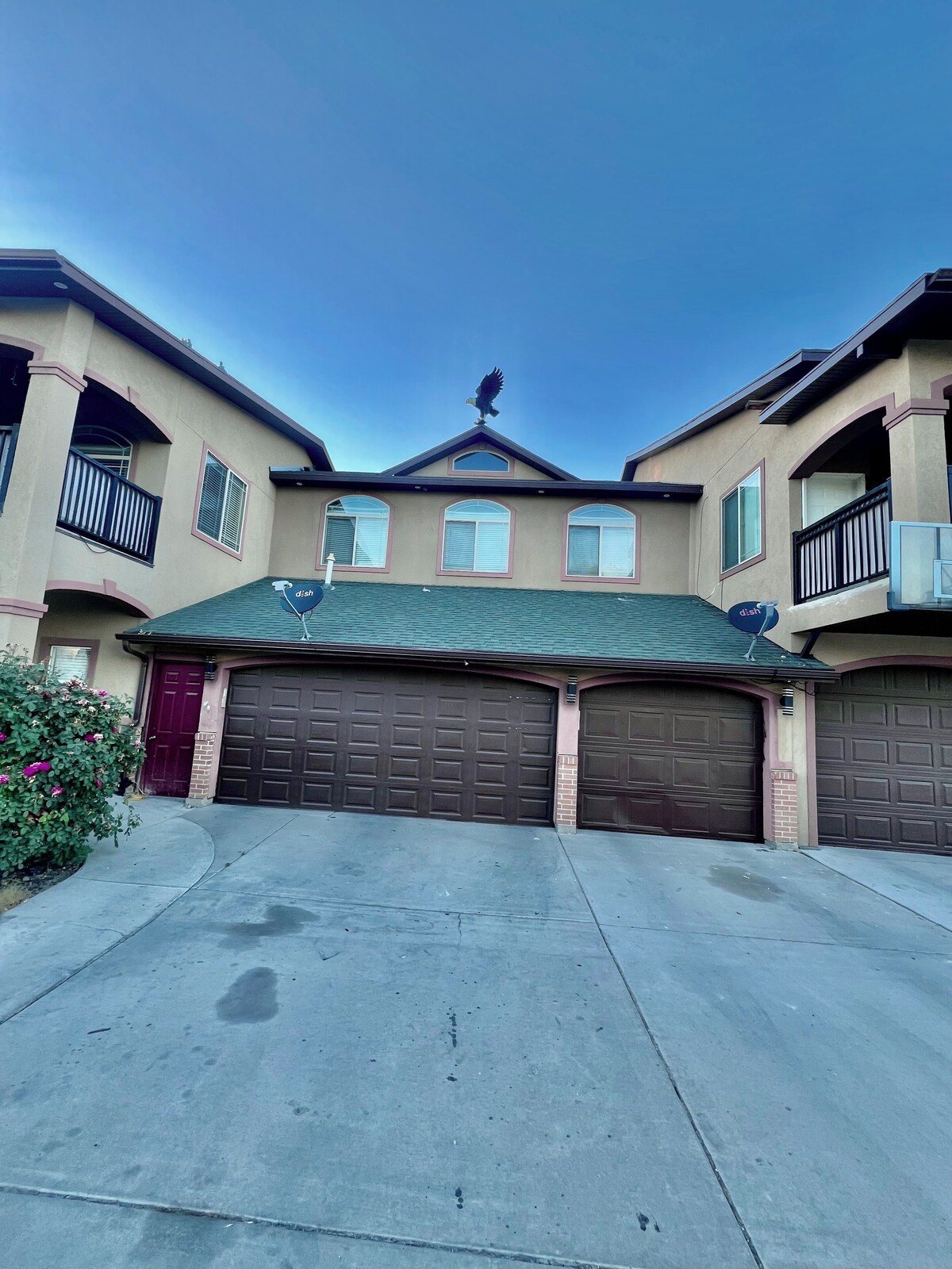 Image de profil de l’hôte