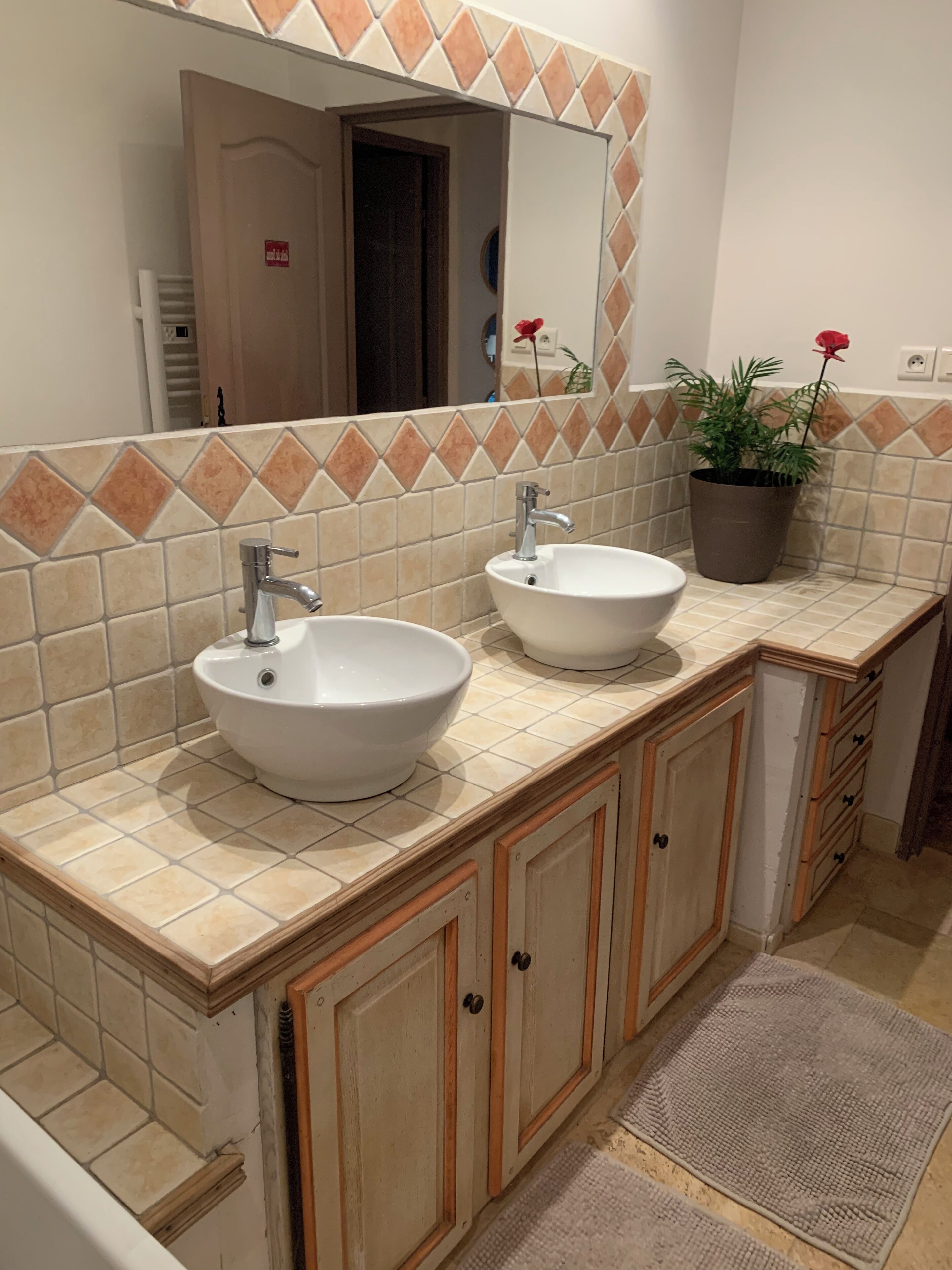 A bathroom with two sinks, a mirror, a potted plant, and a tiled backsplash.
