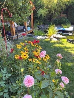 المنطقة المحيطة بالمنشأة