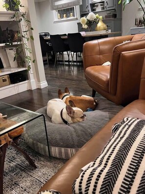 Smart TV, fireplace, table tennis, books