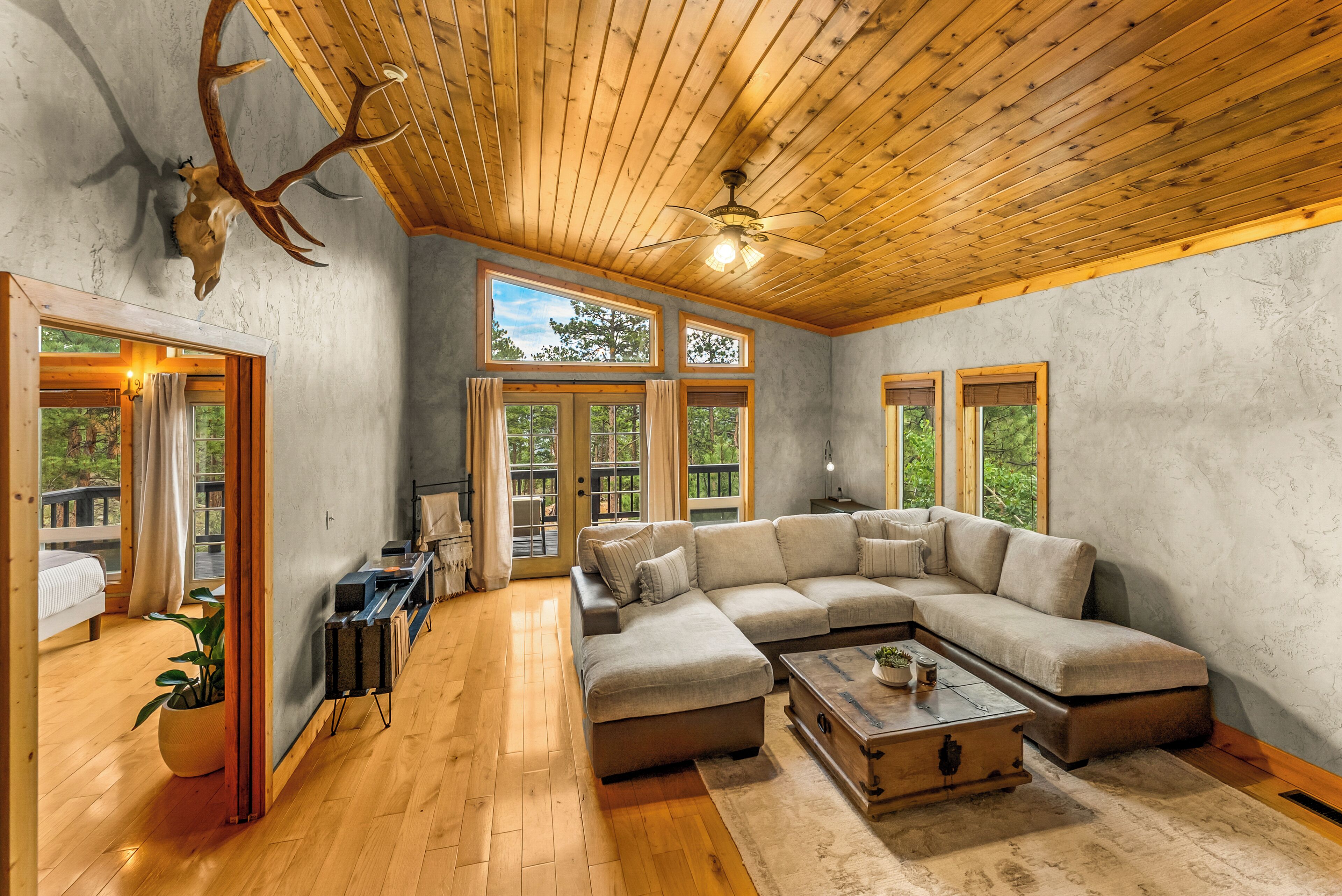 Smart TV, fireplace, books, stereo