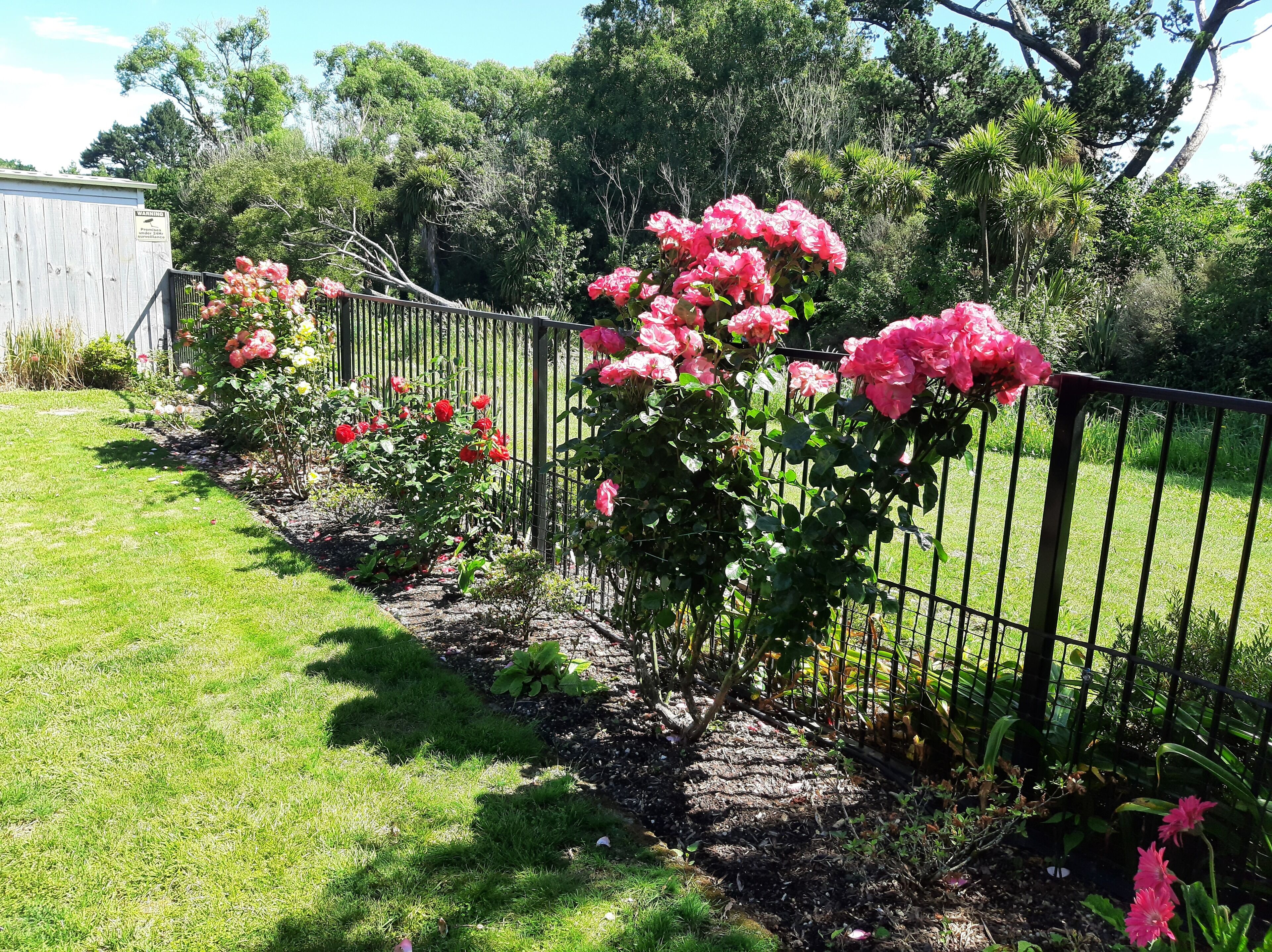 Jardines del alojamiento