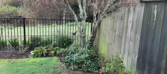 Peaceful by the stream