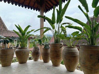 CPM 管理的特波拉村度假村