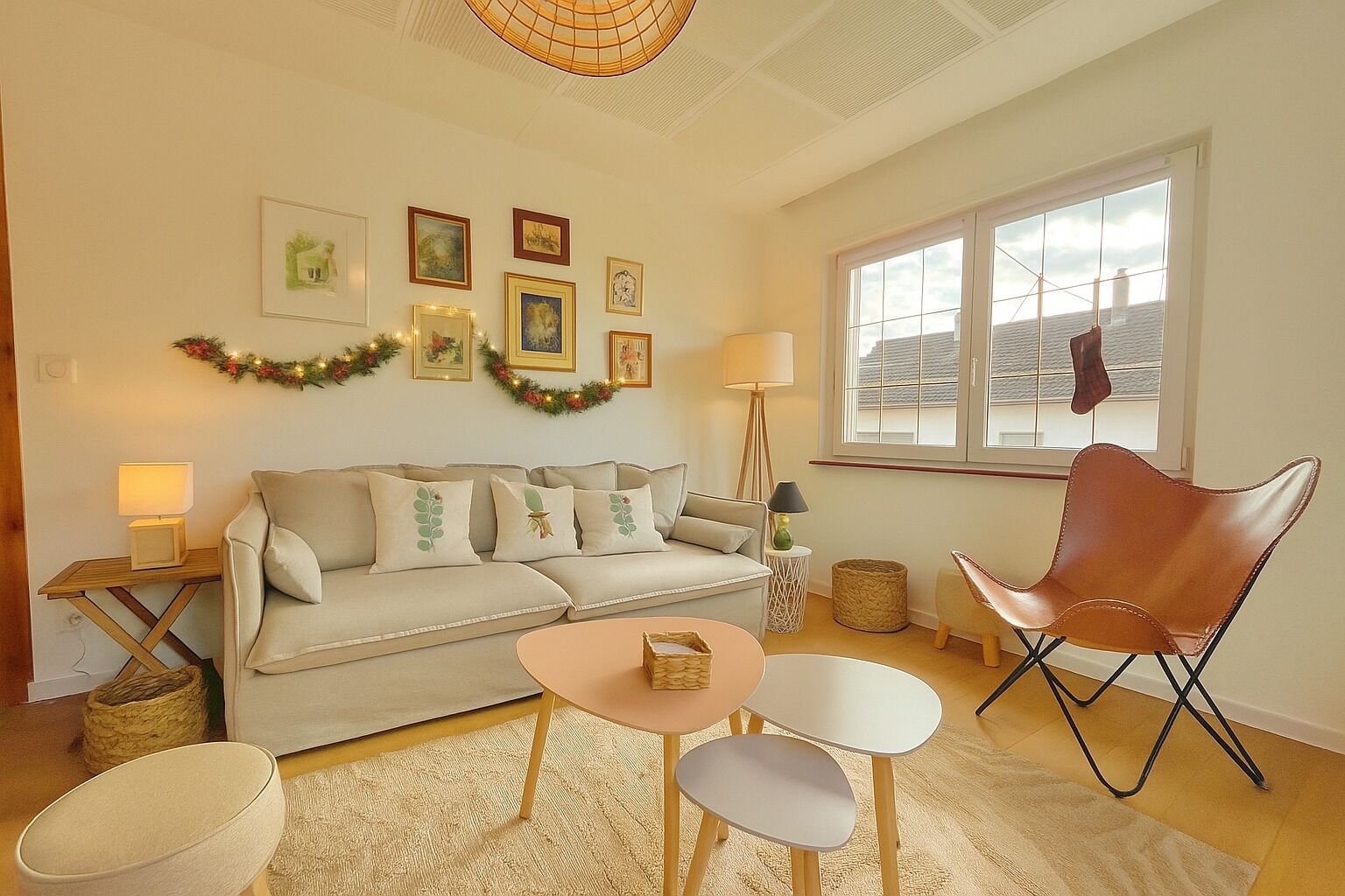 智能電視、書籍