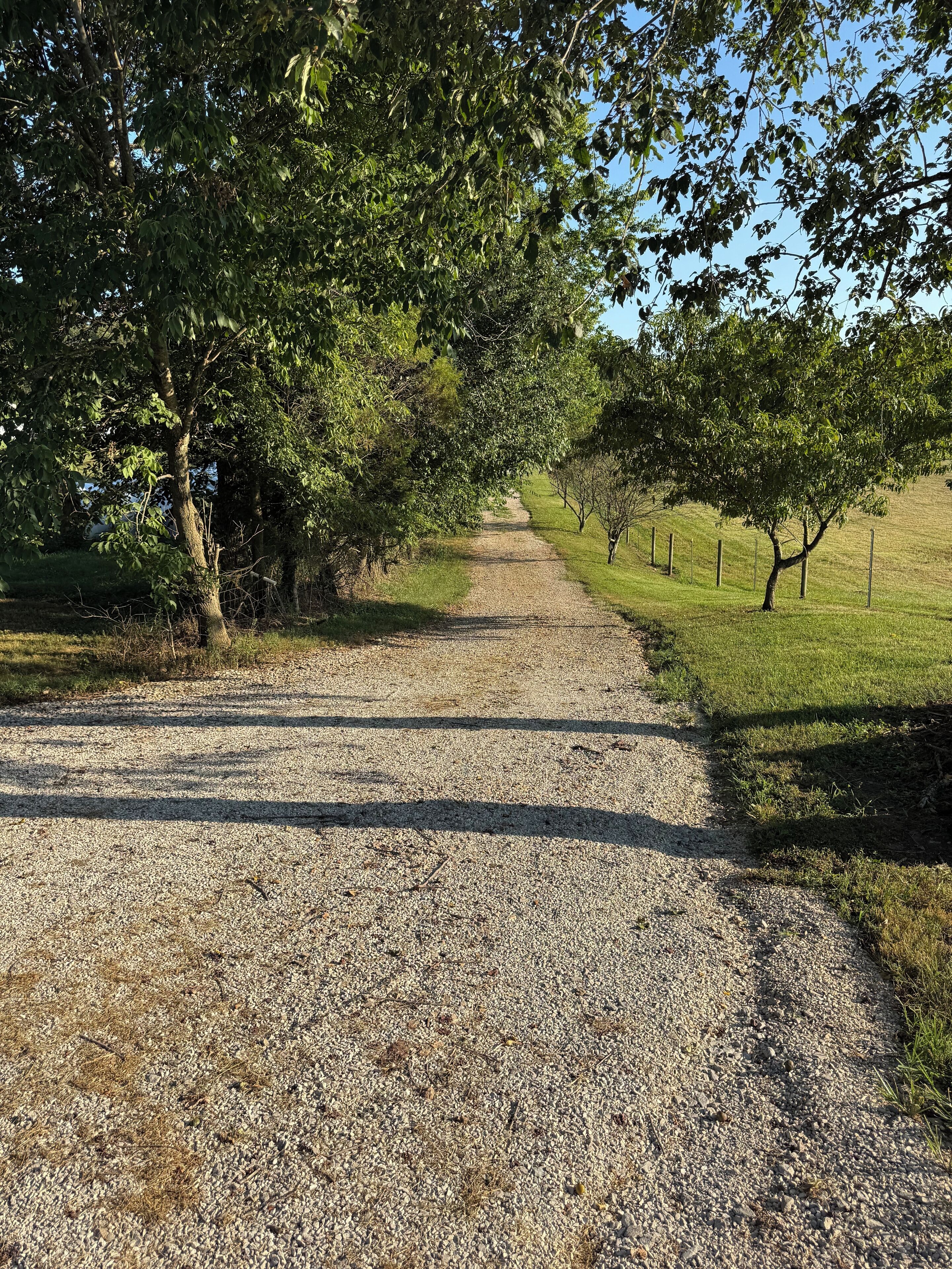 A gravel path flanked by trees in a rural setting.