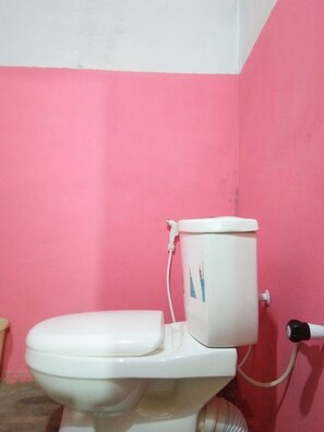 Shower, towels, soap, toilet paper