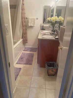 Hair dryer, bidet, towels, soap