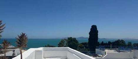 Terras