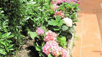 DĂ©tail de lâextĂ©rieur