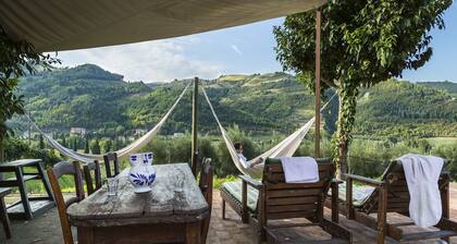 Apartment in Modigliana with swimming pool