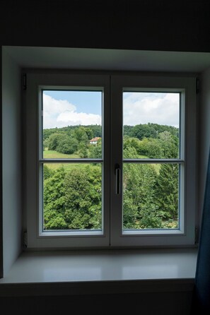 Single Room, Valley View | View from room