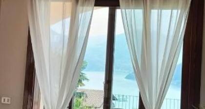 Gipsy - x 6 Garden & Magic