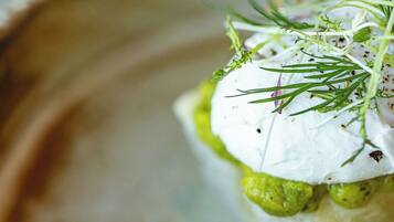 Primer plano de un plato con cobertura cremosa blanca, salsa verde y hierbas frescas.