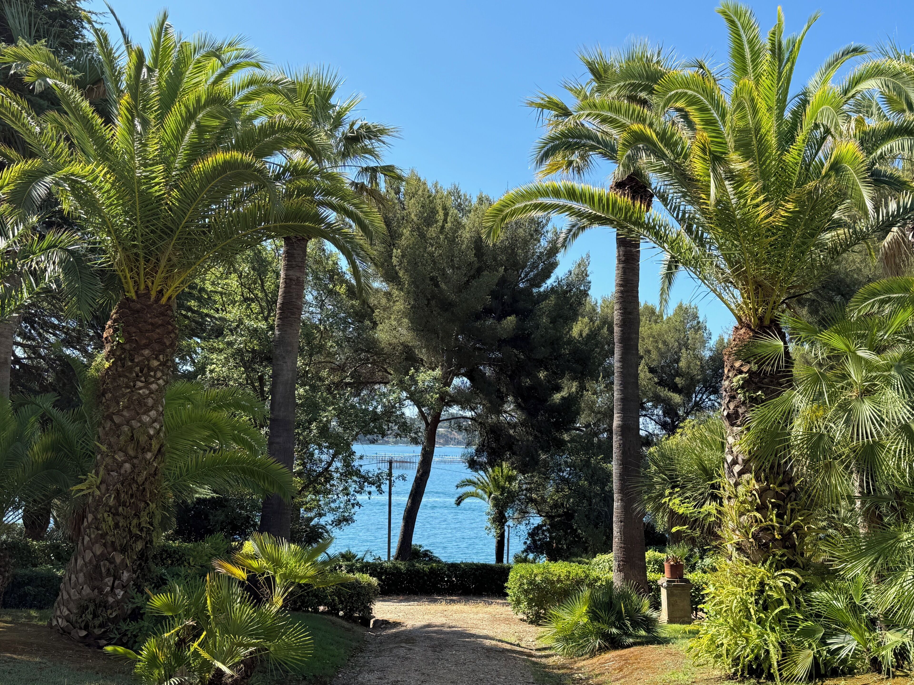 Overnattingsstedets uteområder