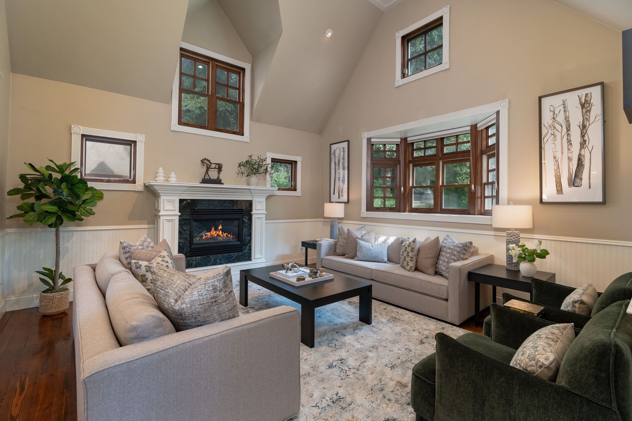 Televisor intel·ligent, llar de foc, estèreo i oficines 