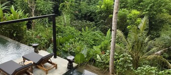 莲花森林屋