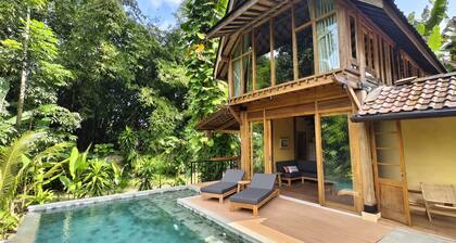 Lotus Forest Houses