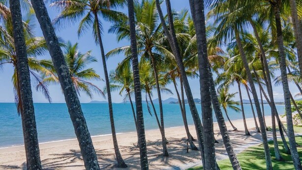 Ein Strand mit Palmen und freiem Blick auf den Ozean.