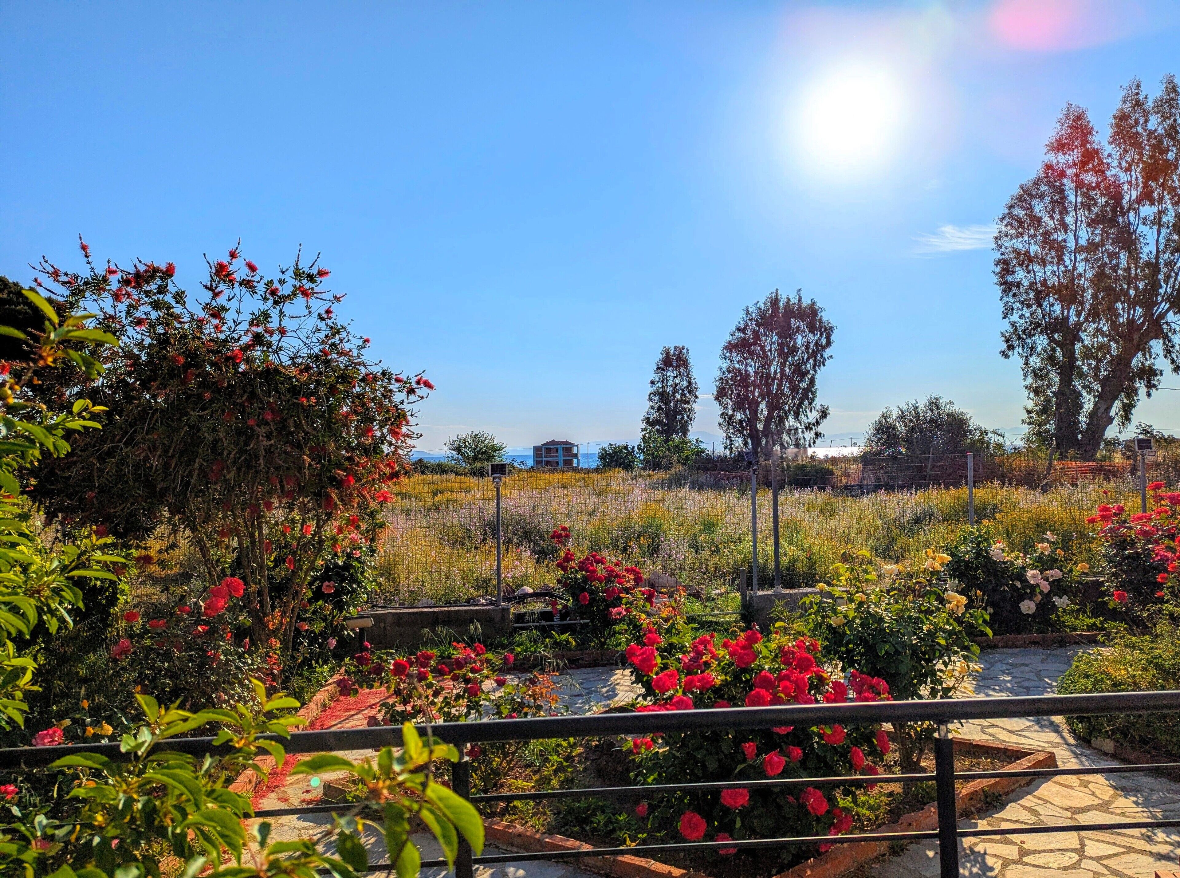 デラックス ダブルまたはツインルーム パーシャル オーシャン ビュー | 部屋からの景観