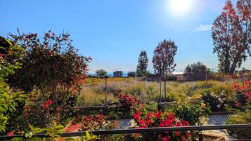 Deluxe Double or Twin Room, Partial Ocean View | View from room
