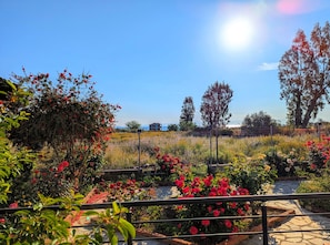 Deluxe Double or Twin Room, Partial Ocean View | View from room