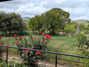 View from room