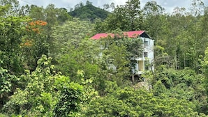 Un bâtiment coiffé d’un toit rouge, niché au milieu d’un feuillage verdoyant et luxuriant.