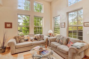 Télévision, cheminée, livres, chaîne hi-fi