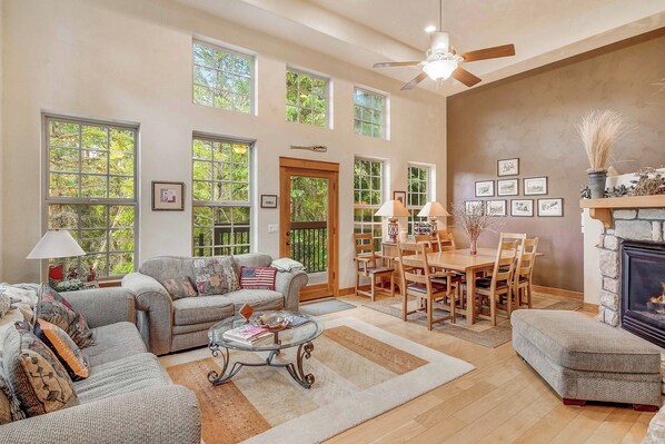 TV, fireplace, books, stereo