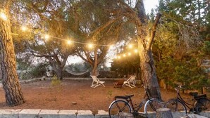 A tree-lined outdoor area with string lights, two bicycles, and two white lawn chairs.