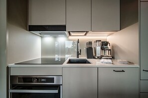 Fridge, microwave, oven, stovetop - Beyond Gielas B4, Top of fell (Levi)