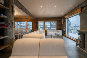 TV, fireplace, DVD player