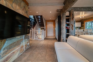 TV, fireplace, DVD player