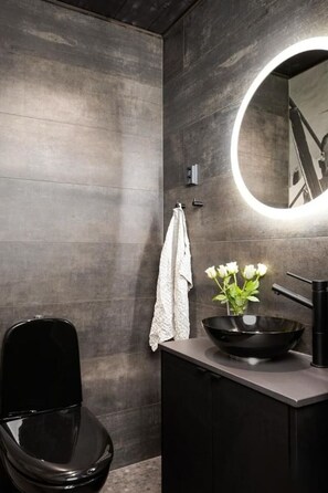 Hair dryer, towels - Aavalevi Villa Aspen C (Levi)