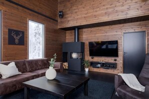 TV, fireplace, stereo