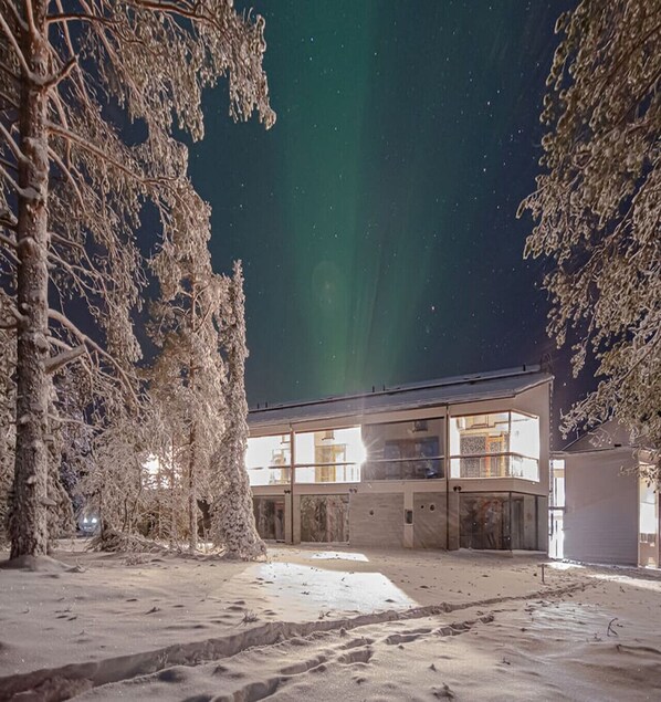 A building with a glass facade, surrounded by trees, under a night sky with the aurora borealis.