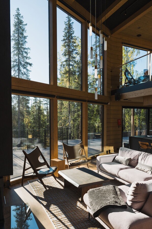 TV, fireplace, stereo