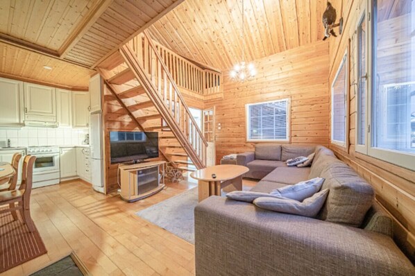 Télévision, cheminée