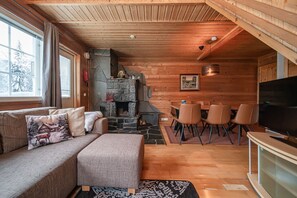 Fernseher, Kamin