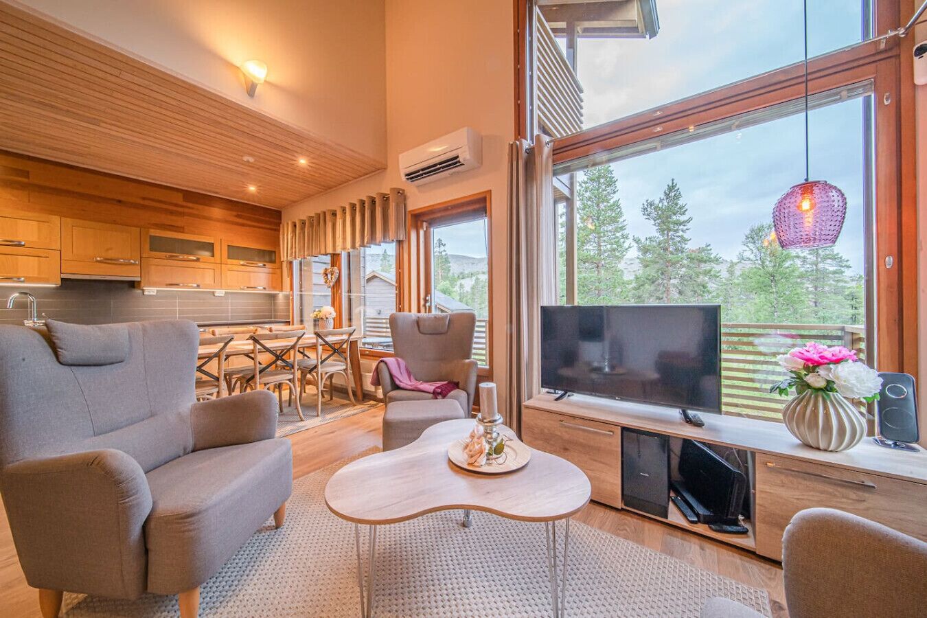 TV, fireplace, DVD player