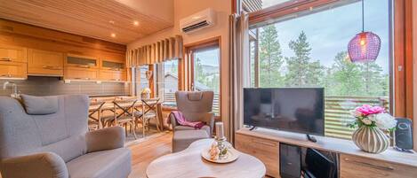 TV, fireplace, DVD player