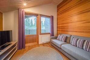 TV, fireplace, DVD player