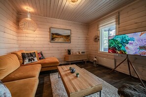 TV, fireplace, stereo